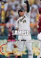 ※秋葉原店併用商品 前川　右京(SP) 【CBP03-T12SP】